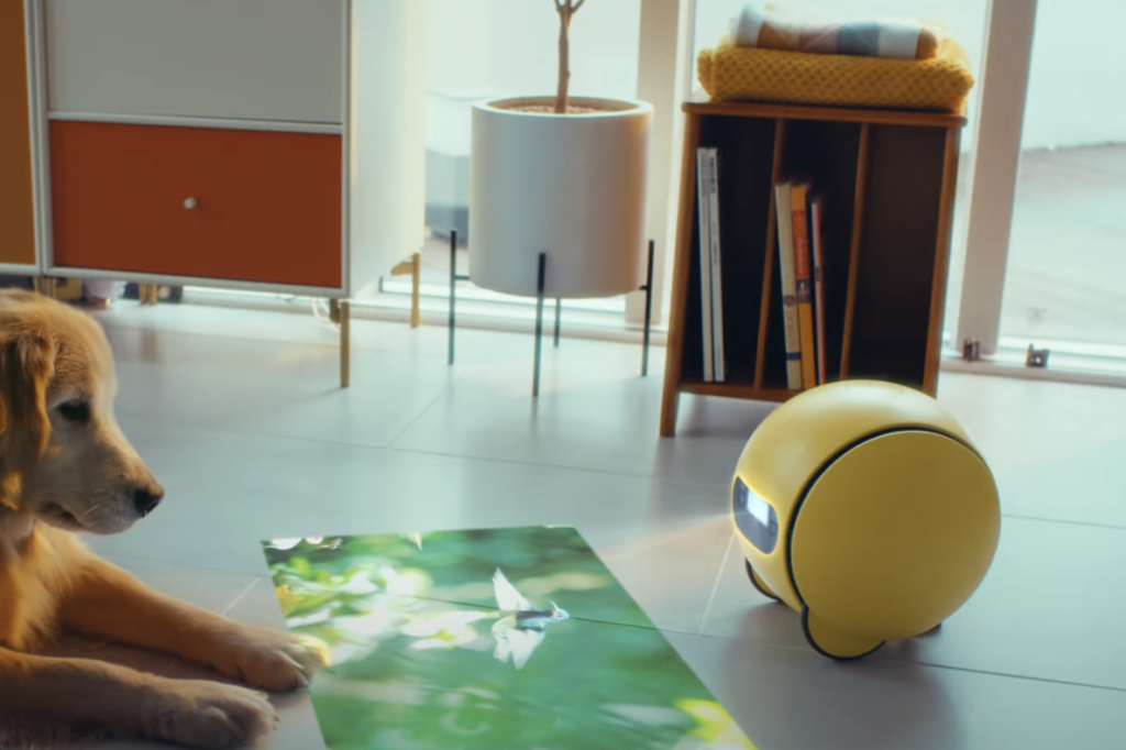 삼성, 가정용 로봇 ‘볼리’ 2025년 상반기 출시 예정 발표